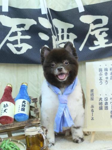 20240626太郎くん